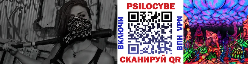 Псилоцибиновые грибы прущие грибы  закладка  блэк спрут   Таштагол 